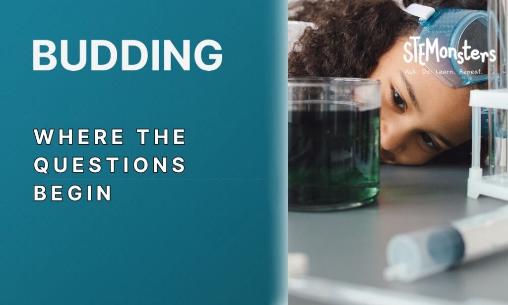 Hands-on STEM program for Budding STEMonsters program for grades 3-4