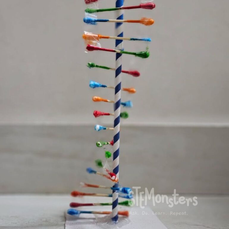 Middle school student modelling the double helix of the DNA