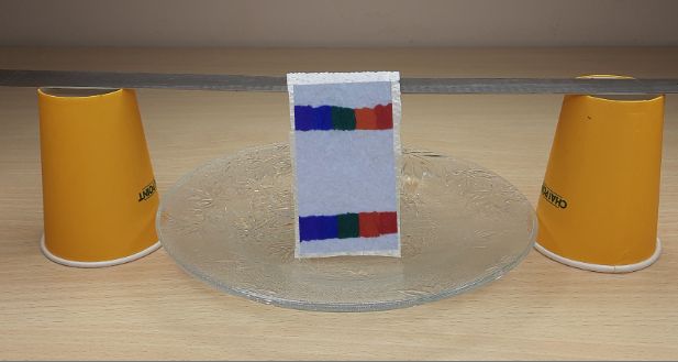 paper chromatography